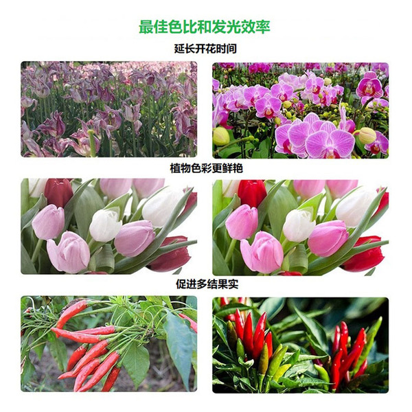 大棚植物投光灯 大棚植物投光灯