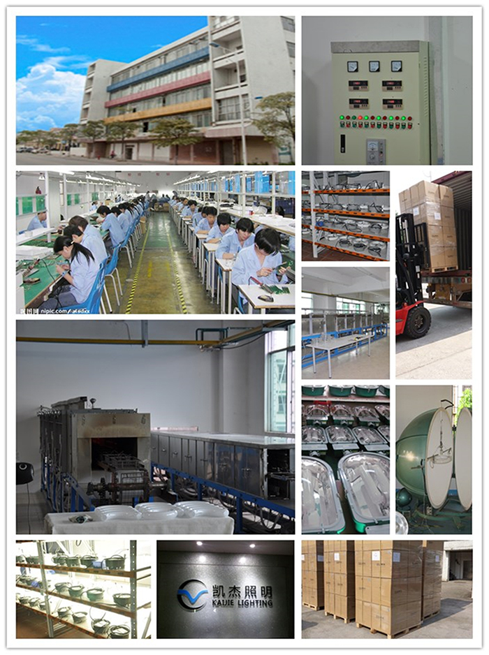 our company for website-2018.jpg